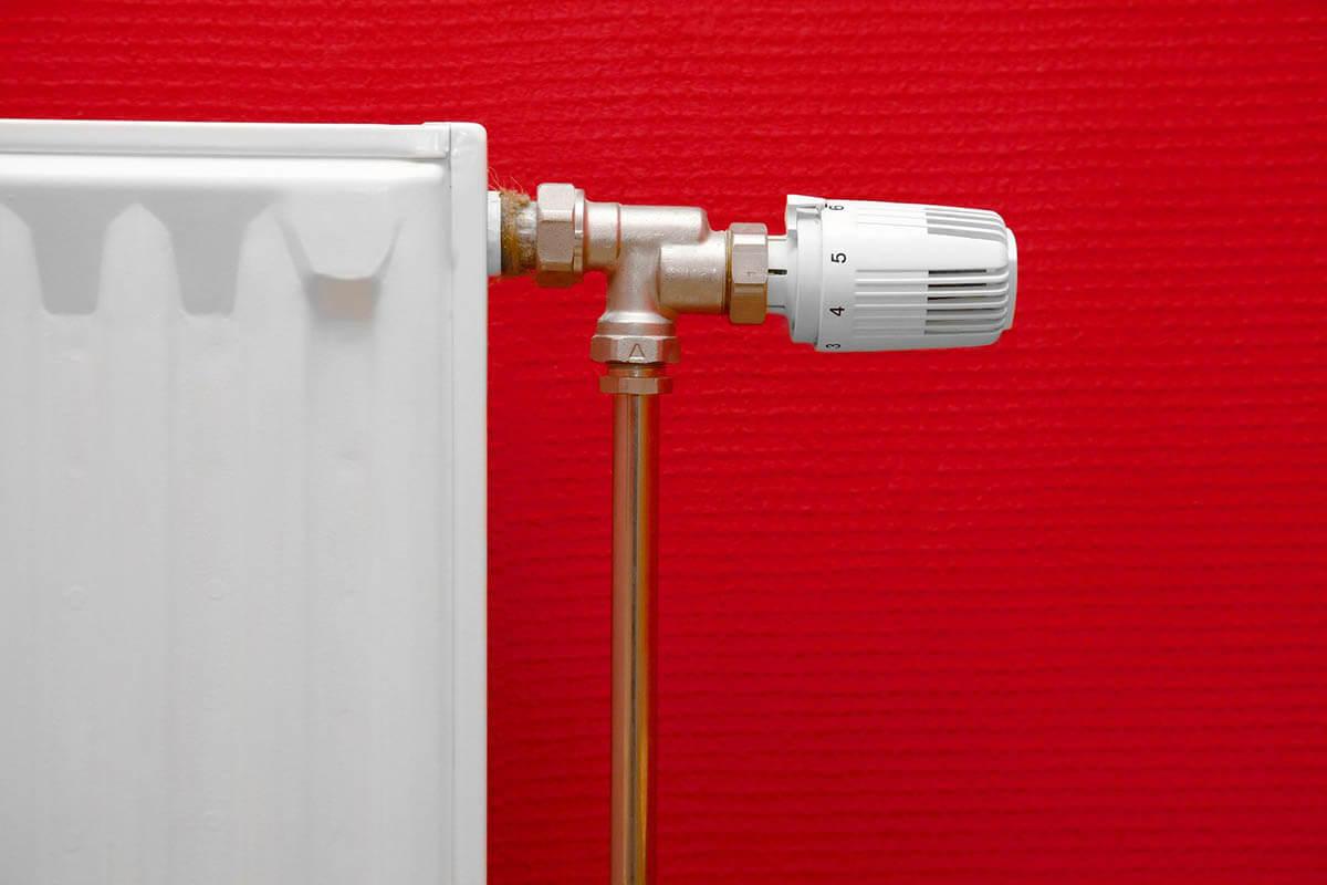 Bakırköy Petek Temizliği