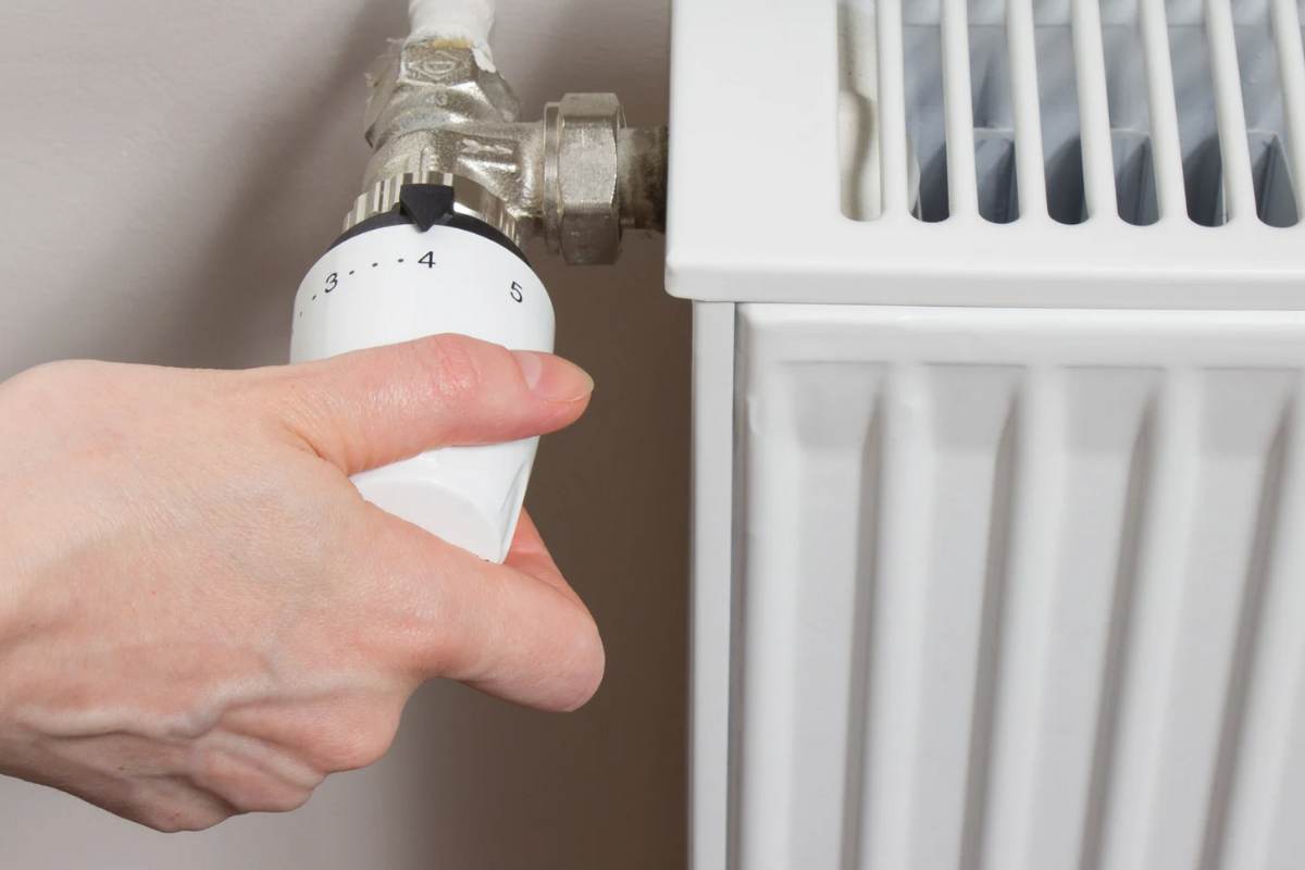 Arnavutköy Petek Temizliği