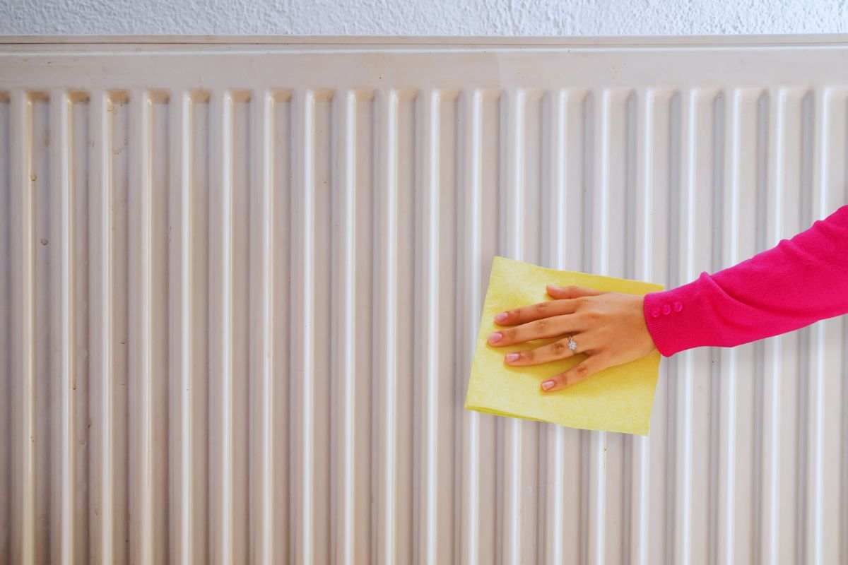 Evde Petek Temizliği Nasıl Yapılır?